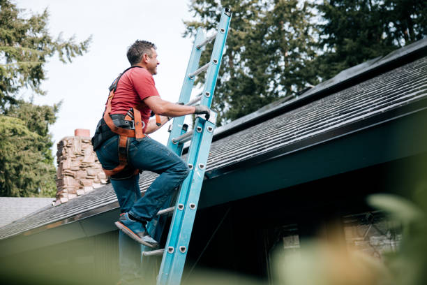 Best Skylight Installation and Repair  in South Windham, CT