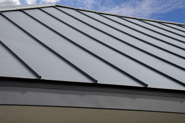Best Sheet Metal Roofing  in South Windham, CT